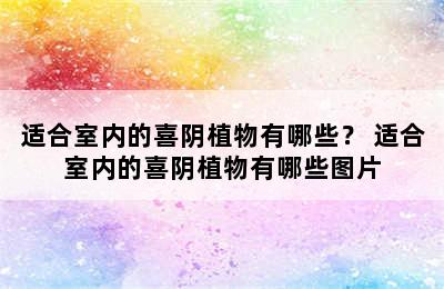 适合室内的喜阴植物有哪些？ 适合室内的喜阴植物有哪些图片